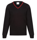 Performa Stripe Knitted V-Neck